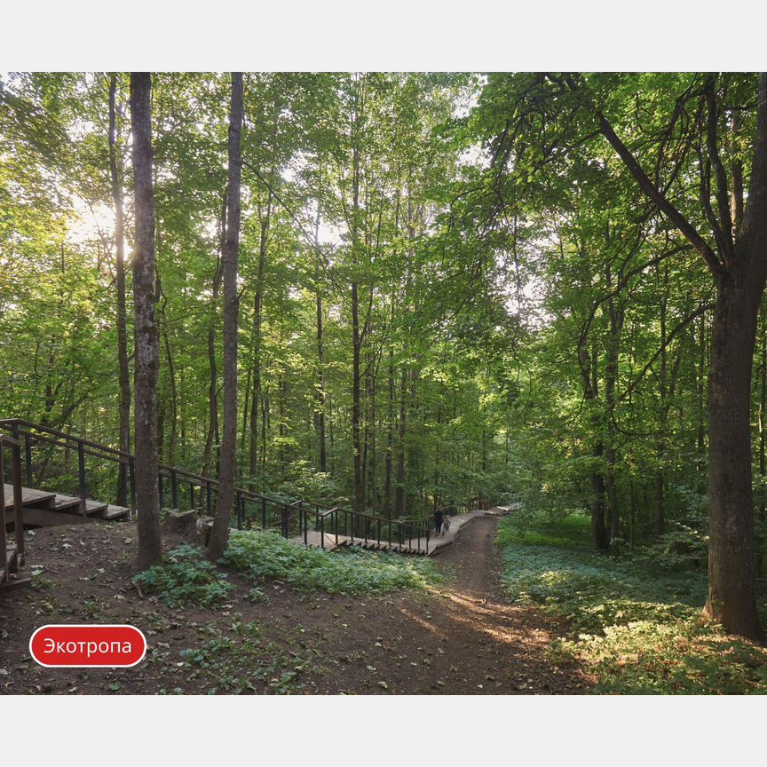 Квартира-студия, 21,6 м², 9/9 эт.