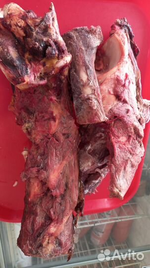 Рагу конина для собак