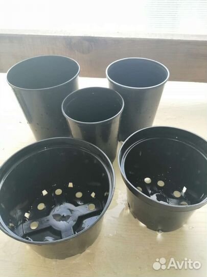 Горшки для рассады б/у