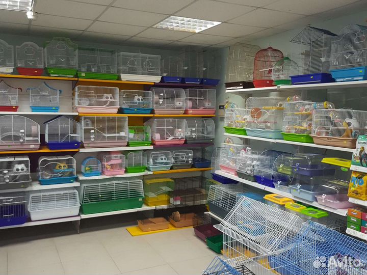 Клетки, хомячки, крысята