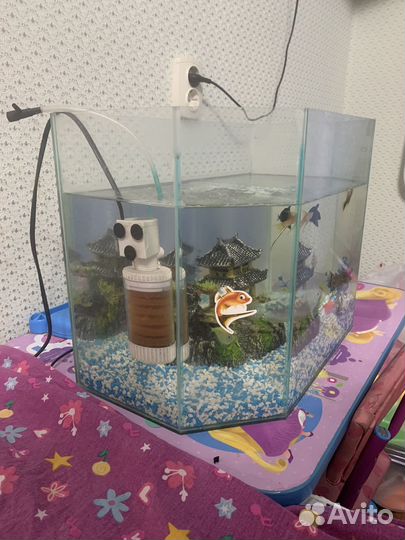 Аквариум с рыбками