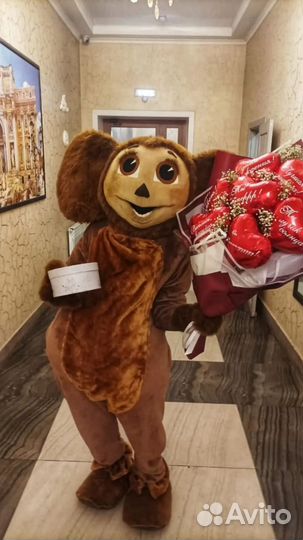 Костюм для аниматора