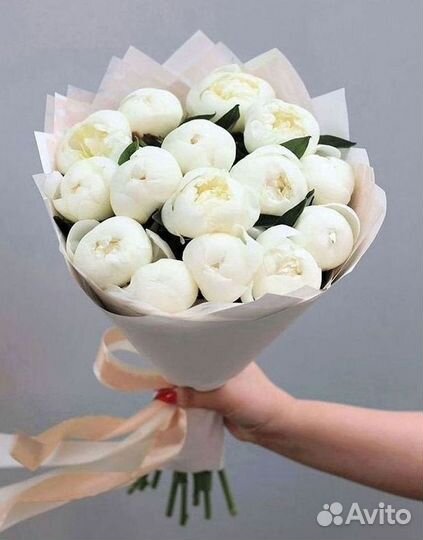 Пионы Цветы Доставка