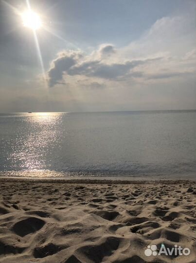 Индивидуальные экскурсии по Калининграду и области