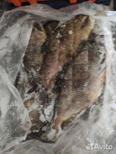 Рыба на корм животным