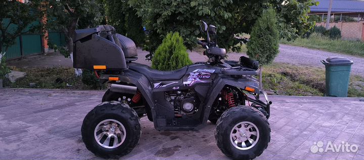 Avantis Hunter 200 Big Premium