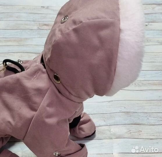 Одежда для собак