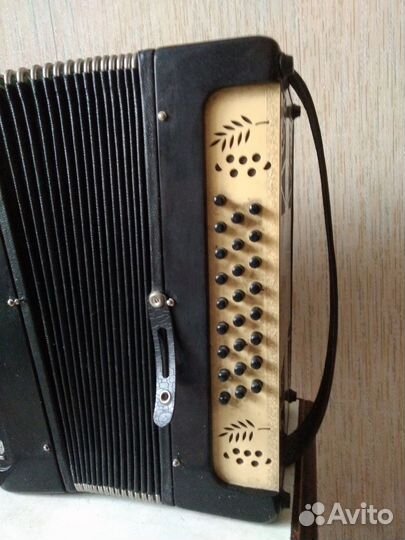 Гармонь Рябинушка