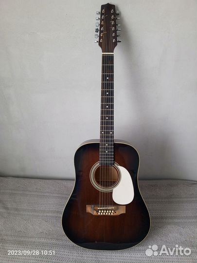 12 ти струнная гитара