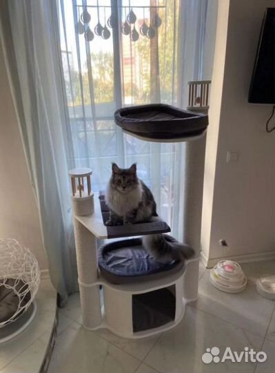 Когтеточка для кошек с домиком