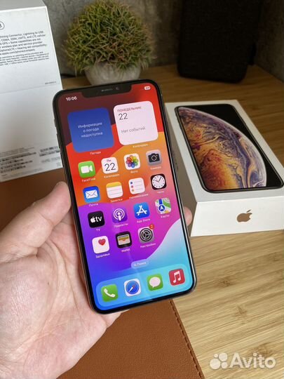 iPhone Xs Max, 256 ГБ