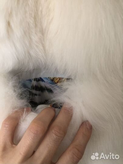 Шуба натуральная песец