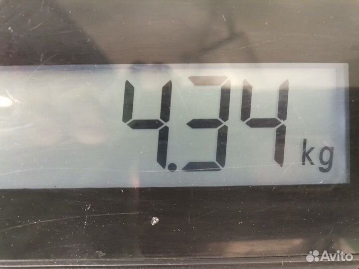 Стекло двери задней правой Renault Vel Satis 2003