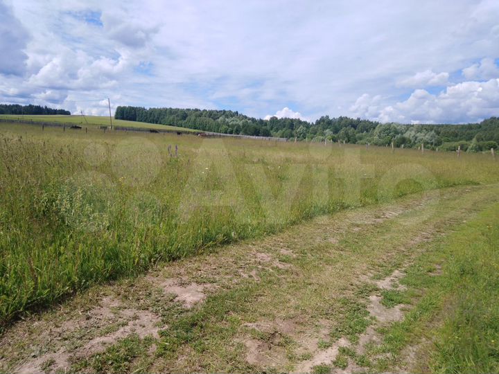 Участок 10 сот. (ИЖС)