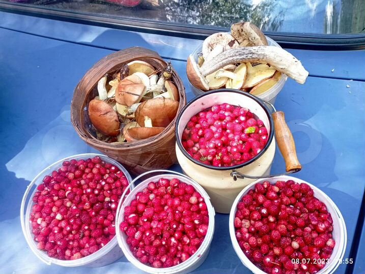 Дом 95,2 м² на участке 37 сот.