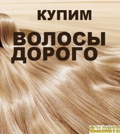 Скупка волос