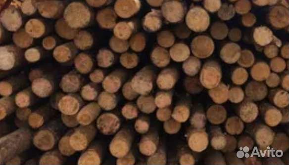 Лес кругляк тонкомер