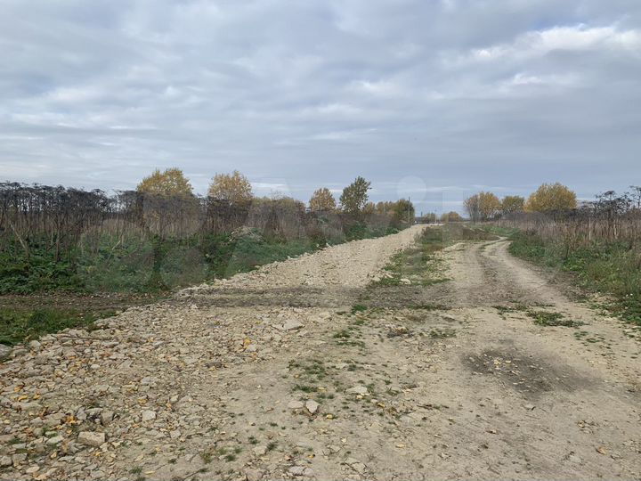 Участок 10 га (промназначения)