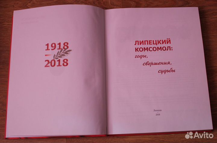 Книга Липецкий Комсомол Липецк 2018 Тираж 1000 шт