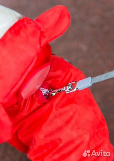 Новый дождевик для собак