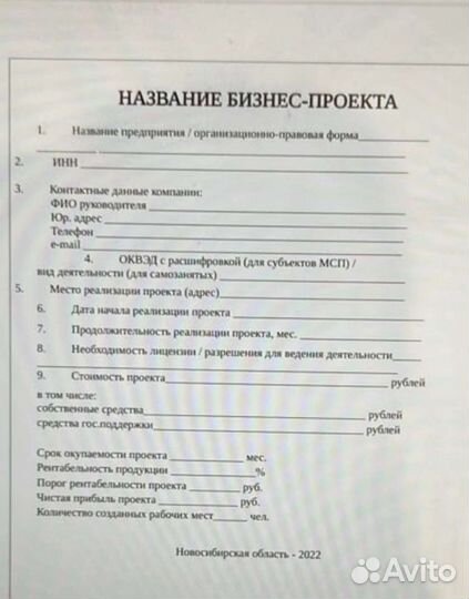 Напишу бизнес-план, иски