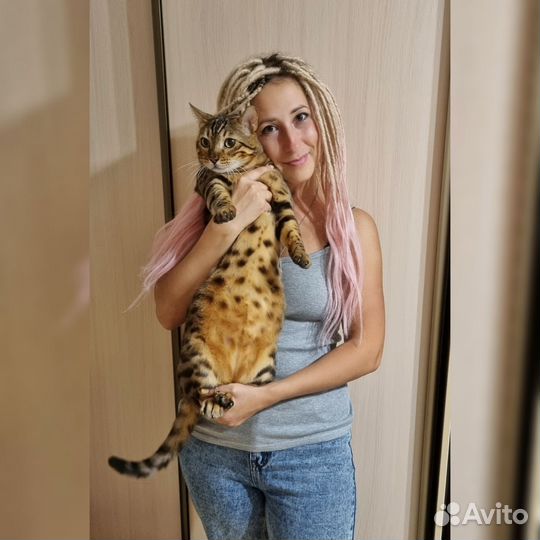 Зоопсихолог