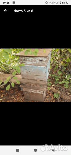 Ульи для пчел