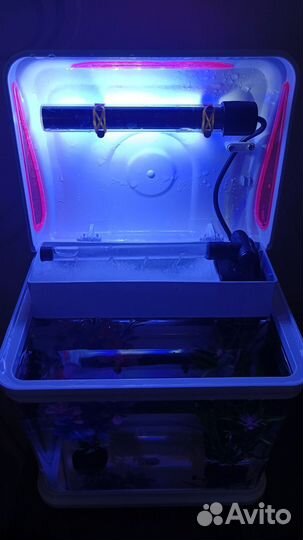 Аквариум с рыбками