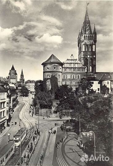 Старый Калининград 1300 фото