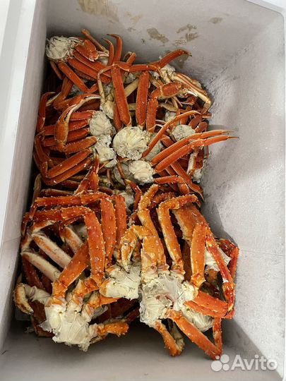 Краб камчатский