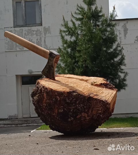 Кап берëзы
