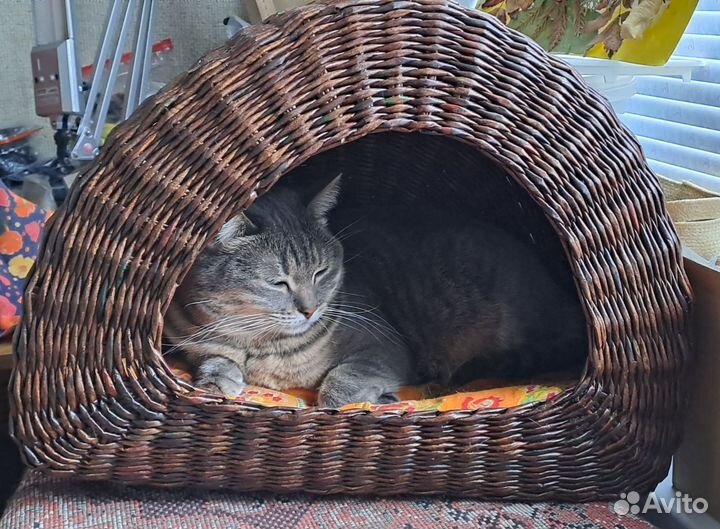 Плетеные корзины