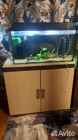 Аквариум с тумбой 100л