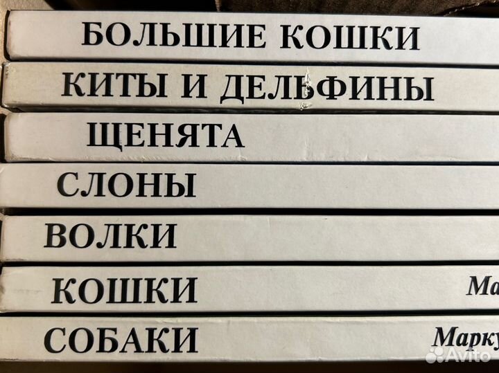 Книги Мир животных