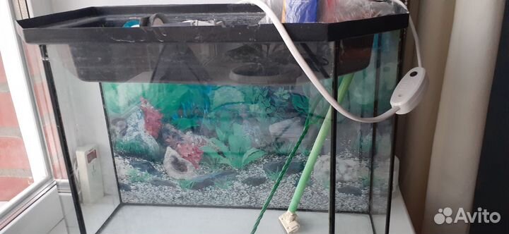 Аквариум