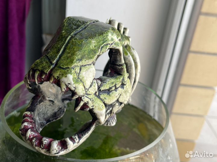 Замок, Рыба скелет