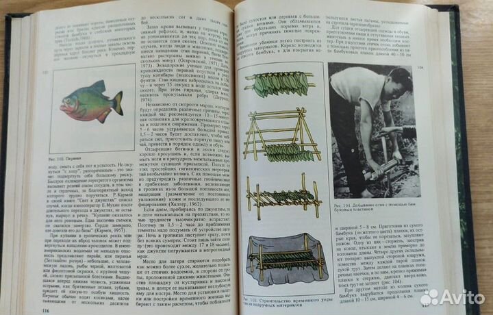 Способы выживания в диких местах