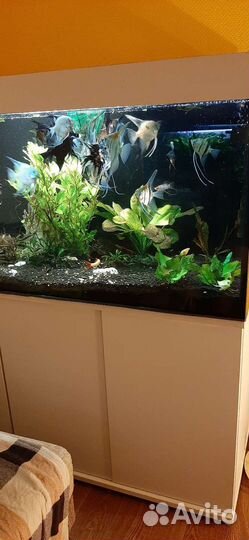 Аквариумный комплекс 450л