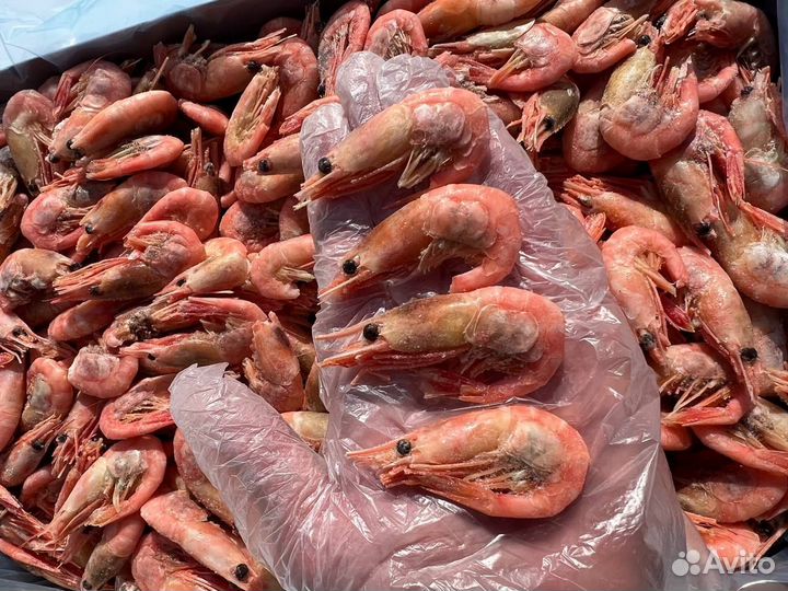 Креветка Северная 80-100