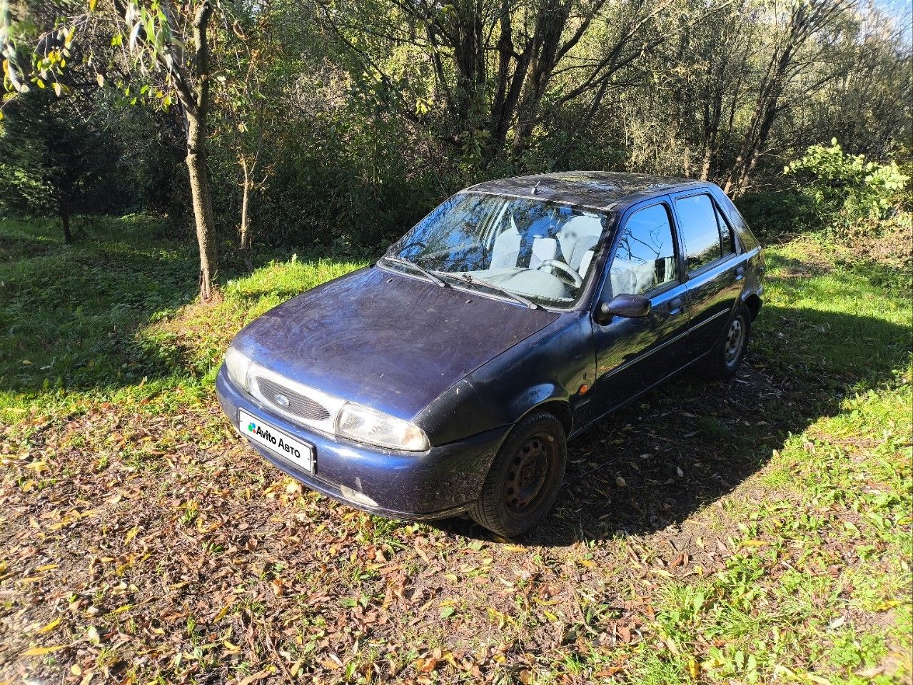 Ford Fiesta: фото владельца