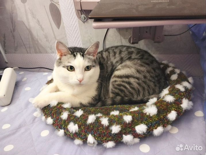 Лежанка для кошек ручная работа