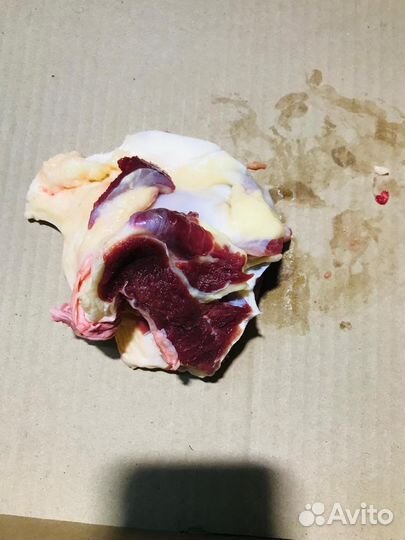 Корм для непродуктивных животных