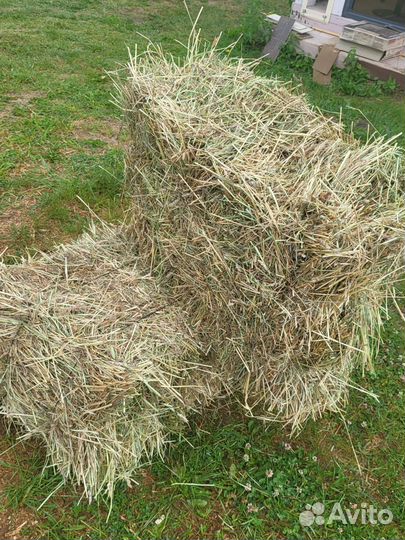 Сено в тюках
