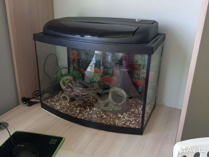 Аквариум