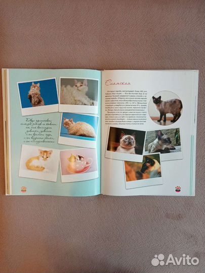 Книга Большая энциклопедия кошек Смирнов Д. С