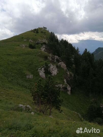 Заброска в горы Аренда лашадей, конные прогулки