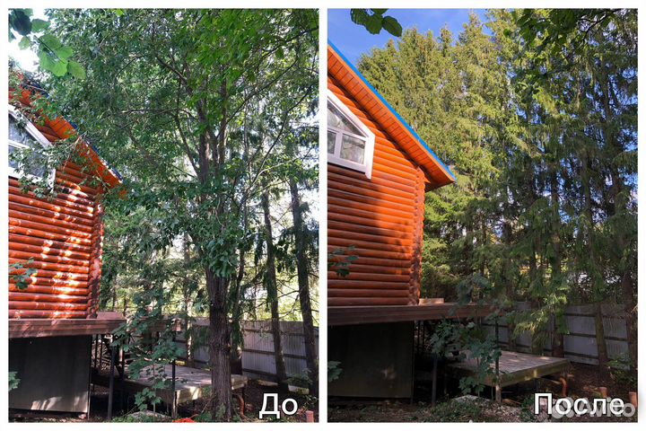 Удаление, обрезка, кронирование деревьев