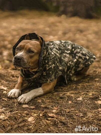 Новая Попона для собак, куртка комбинезон,40