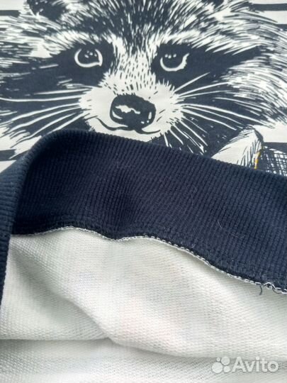 Свиншот Futurino р.122