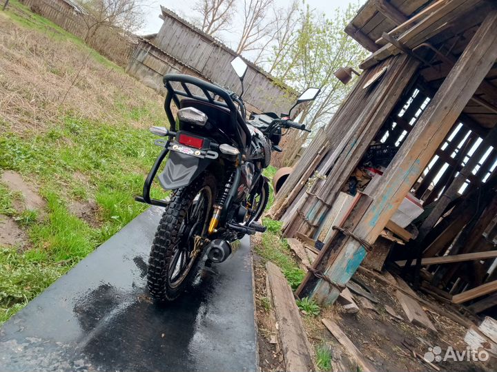 Альфа rs12 champ